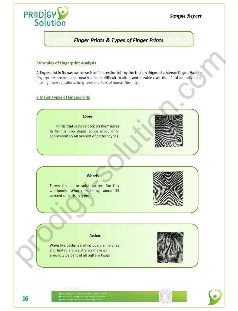 sample report_page_16-ts1556003171