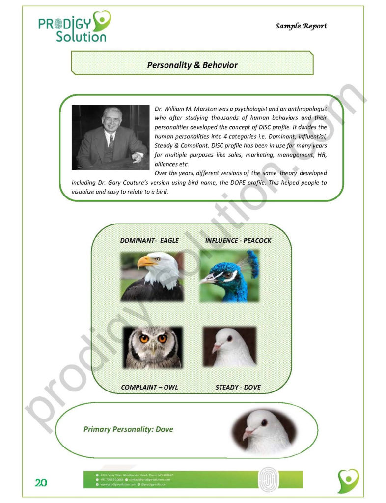 sample report_page_20-ts1556003177