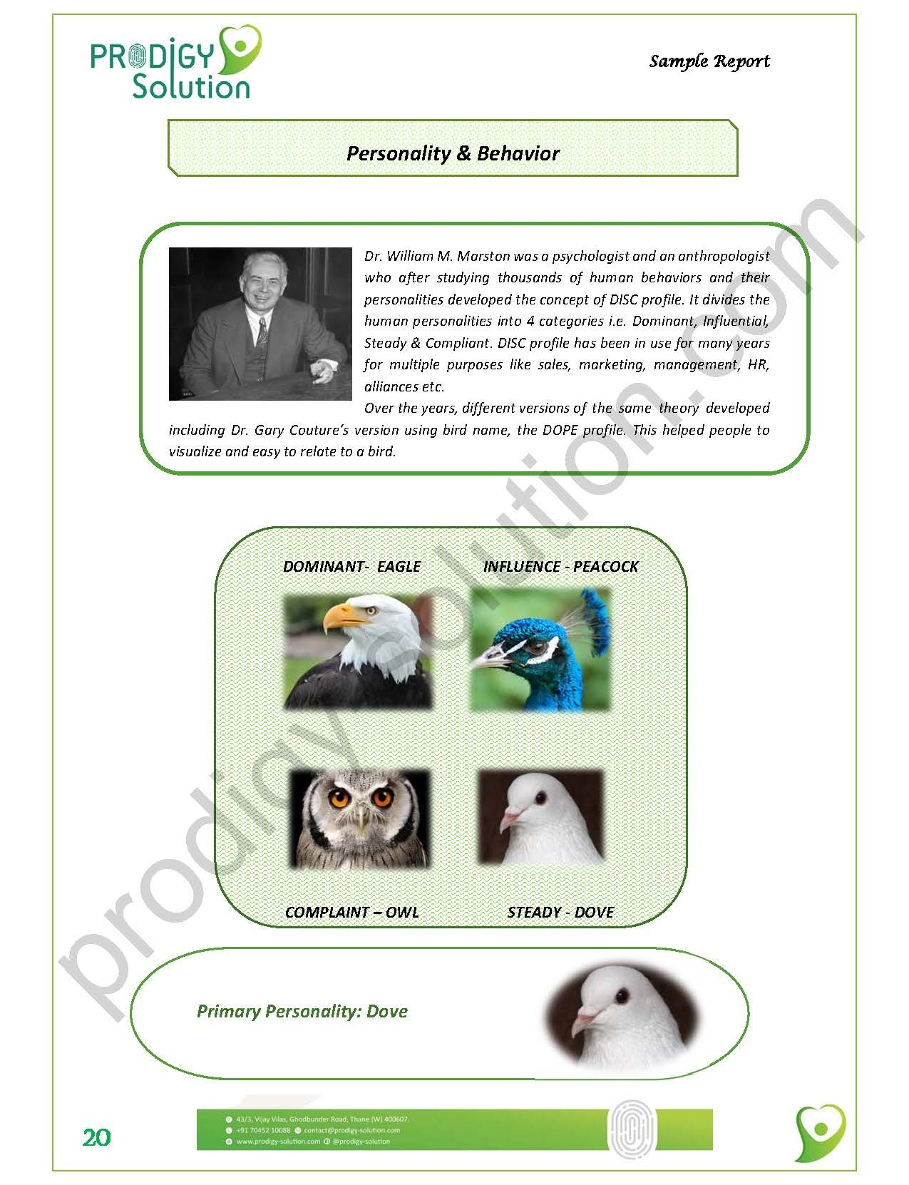 sample report_page_20-ts1556003177